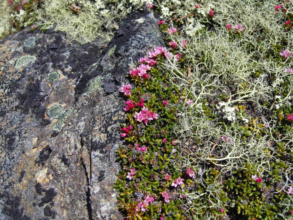 فيلا Folldalفي Lokken Fjellgard المظهر الخارجي الصورة